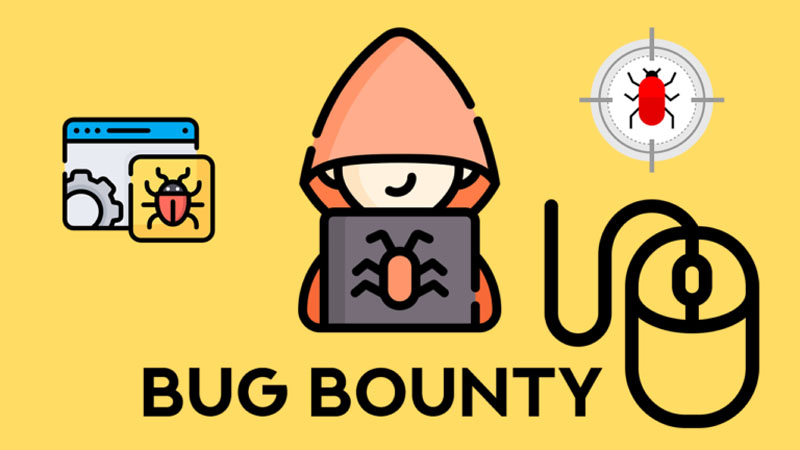 Bug Bounty hunter