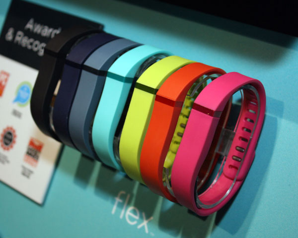 Fitbit Flex